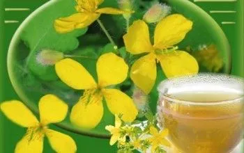 чистотіл від прищів властивості відвар масло настоянка маска переваги і недоліки протипоказання