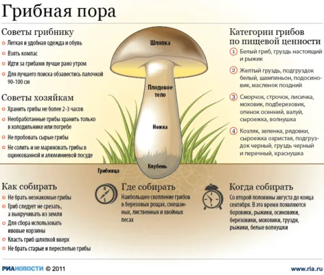 як лікувати отруєння грибами