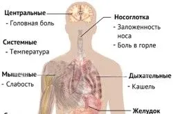 перший по підлозі