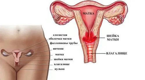 як лікувати хламідіоз у жінок препарати