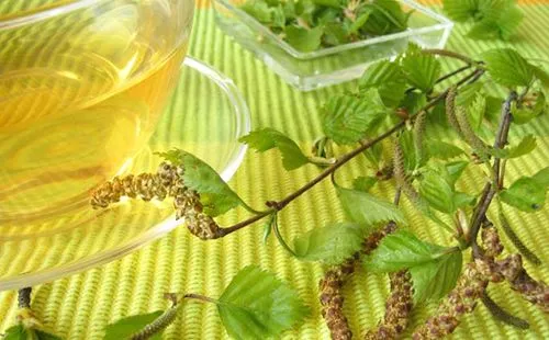 як лікувати суглоби березовими листям