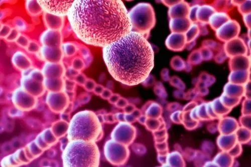 як лікувати хламідіоз у жінок препарати