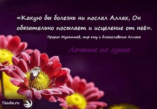 як лікувати шлунок по сунне