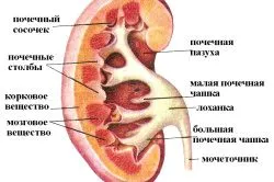 болять нирки приймати ниючий сильно різка симптоми лікування причини