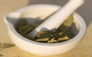 як лікувати алергію на лейкопластир