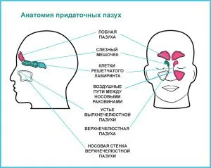 як лікувати нежить годувальниці