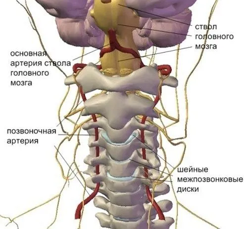 як лікувати защемлення судин шиї