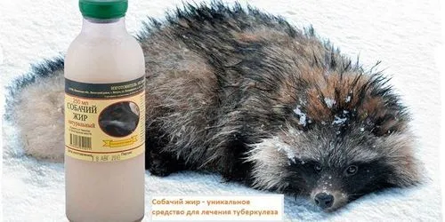 як вилікувати туберкульоз собачим м'ясом