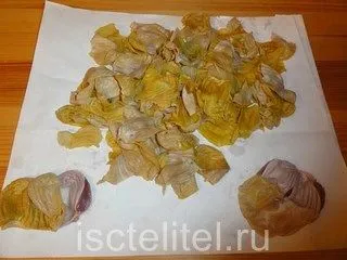 Лікування курячими шлунками як лікувати гастрит курячими шлунками