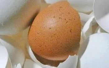 лікування