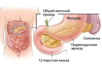 як лікувати хворий шлунок