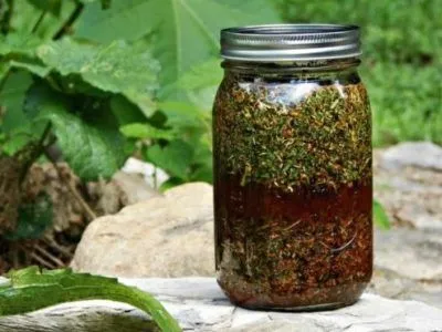 як лікувати остеохондроз шийного відділу народними засобами