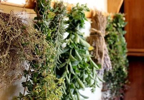 як лікувати легкі народними методами