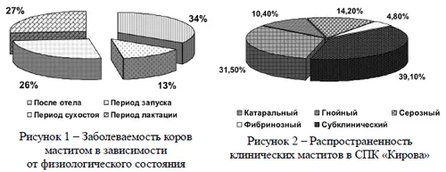 як лікувати мастит без антибіотиків