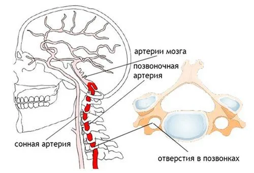 лікувати скачуть тиск