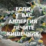 як вилікувати алергію на спеку