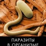 березовий дьоготь паразити застосування всередину лямбліоз аскариди глисти відгуки проти діти молоко організм
