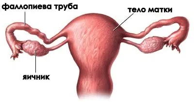 як вилікувати трубне безпліддя