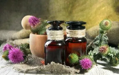 лікувати печінку розторопшею