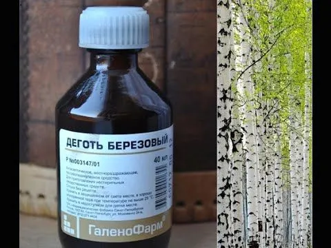 березовий дьоготь паразити застосування всередину лямбліоз аскариди глисти відгуки проти діти молоко організм
