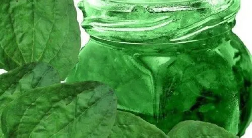 як лікувати шлунково кишковий тракт народними засобами
