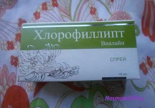 як лікувати нежить хлорофіліпту