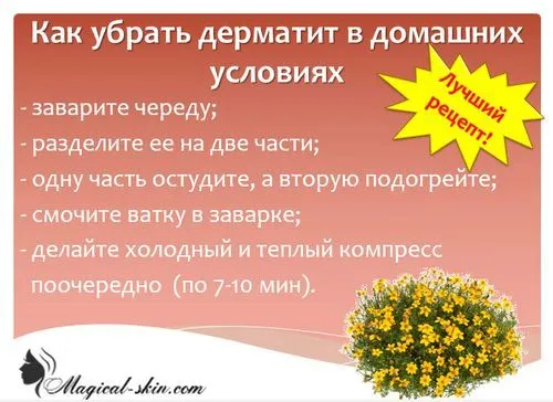 Дерматит: симптоми і лікування дерматит симптом лікування дорослий фото шкірний сверблячий вид швидко позбутися нервовий інтертрігинозний інфекційний церкаріевий виглядає народний засіб артіфіціальной фолікулярний заразний променевої стафілококовий гусеничний дисгидротической
