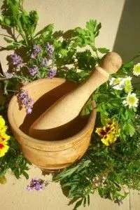 як лікувати кісту яєчника чистотілом