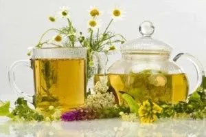 як лікувати кісту яєчника чистотілом