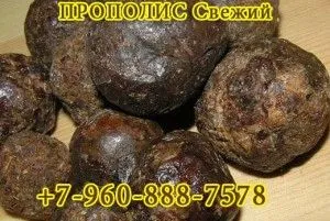 прополіс для лікування