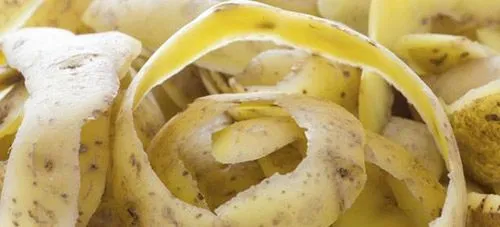 чи можна вилікувати геморой картоплею