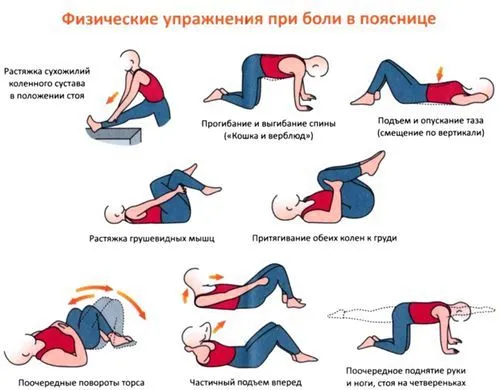 Міозит м'язів спини: симптоми, причини і лікування різних форм запалення як лікувати м'язи спини