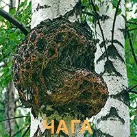 як лікувати рак молочної залози народними засобами
