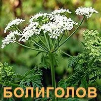 як лікувати рак молочної залози народними засобами