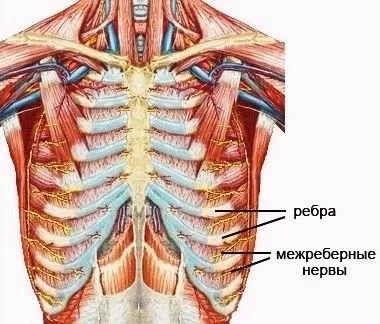 як лікувати хондроз лопатки