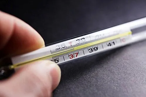 як лікувати сечовий міхур кропом
