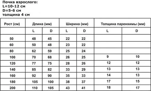 як лікувати мкд нирок