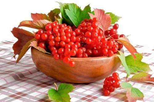 як лікувати алергію калиною
