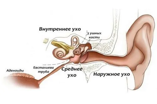 вухо заклало дитина