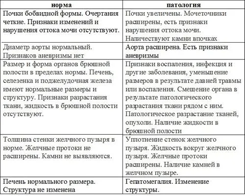 узі нирка розмір норма нормальний показник розшифровка розшифрувати лікар паренхіма мкд камені результат показувати