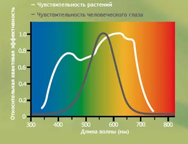 Lumina pentru plante