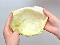 як лікувати лактостаз капустяним листом