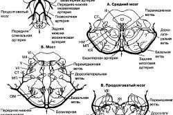 як лікувати спинальний інсульт