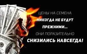 Медична марихуана і депресія як лікувати депресію марихуаною