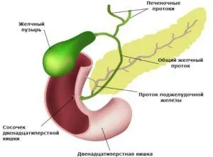 часті проноси після видалення жовчного міхура