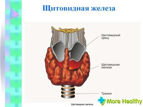 актуальні