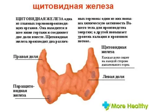 актуальні