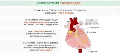 Синусова тахікардія серця синусова тахікардія симптоми та лікування