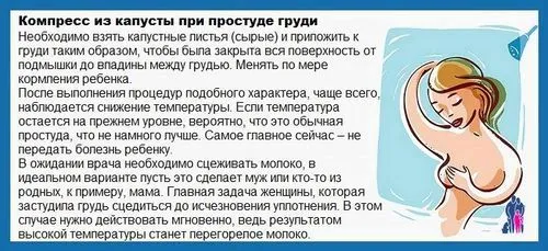 Простудила груди - лікування застуди застуда