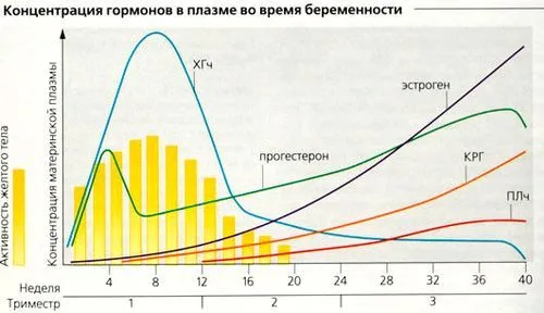 як лікувати кісту молочної залози